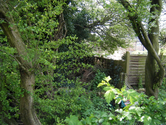 dscf5089.jpg